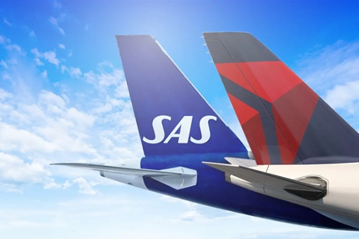 DLSAS codeshare DLSAS codeshare