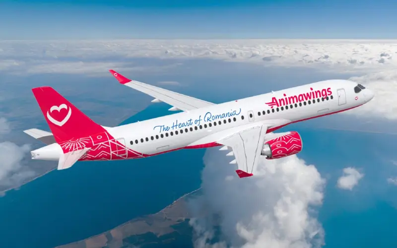 Animawings A220