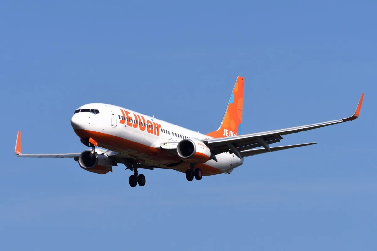 Jeju Air Boeing 737 800 Jeju Air Boeing 737 800