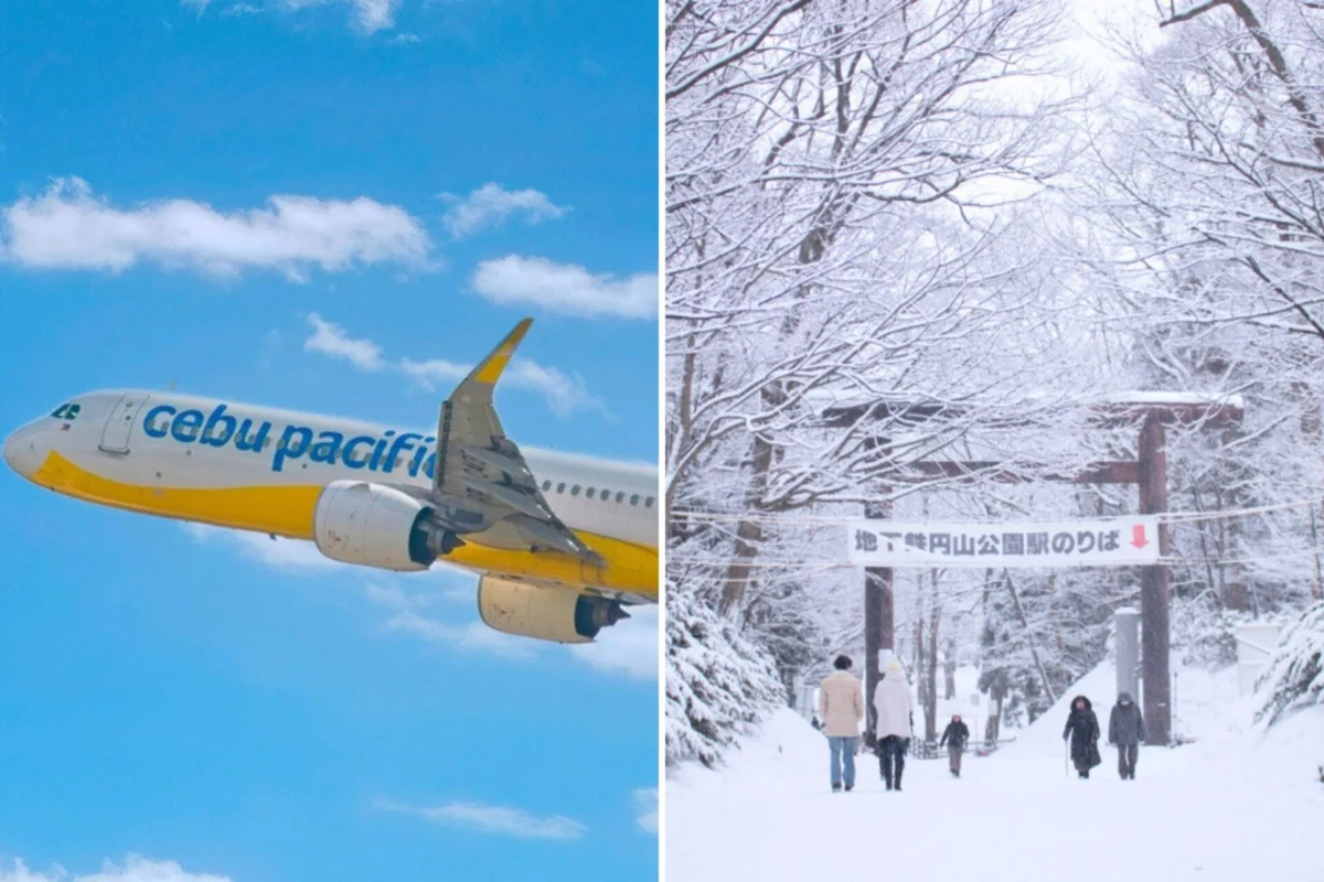 CEB Sapporo CEB Sapporo