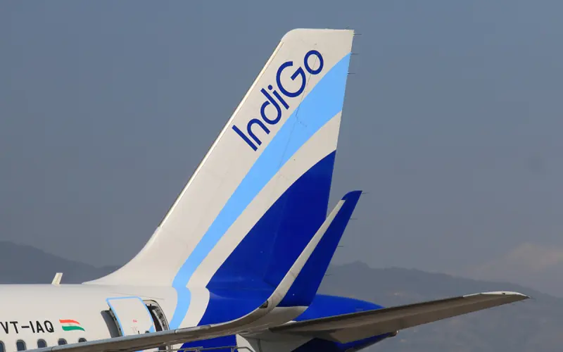 Indigo 777