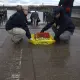 Black Hawk Washington DC crash
