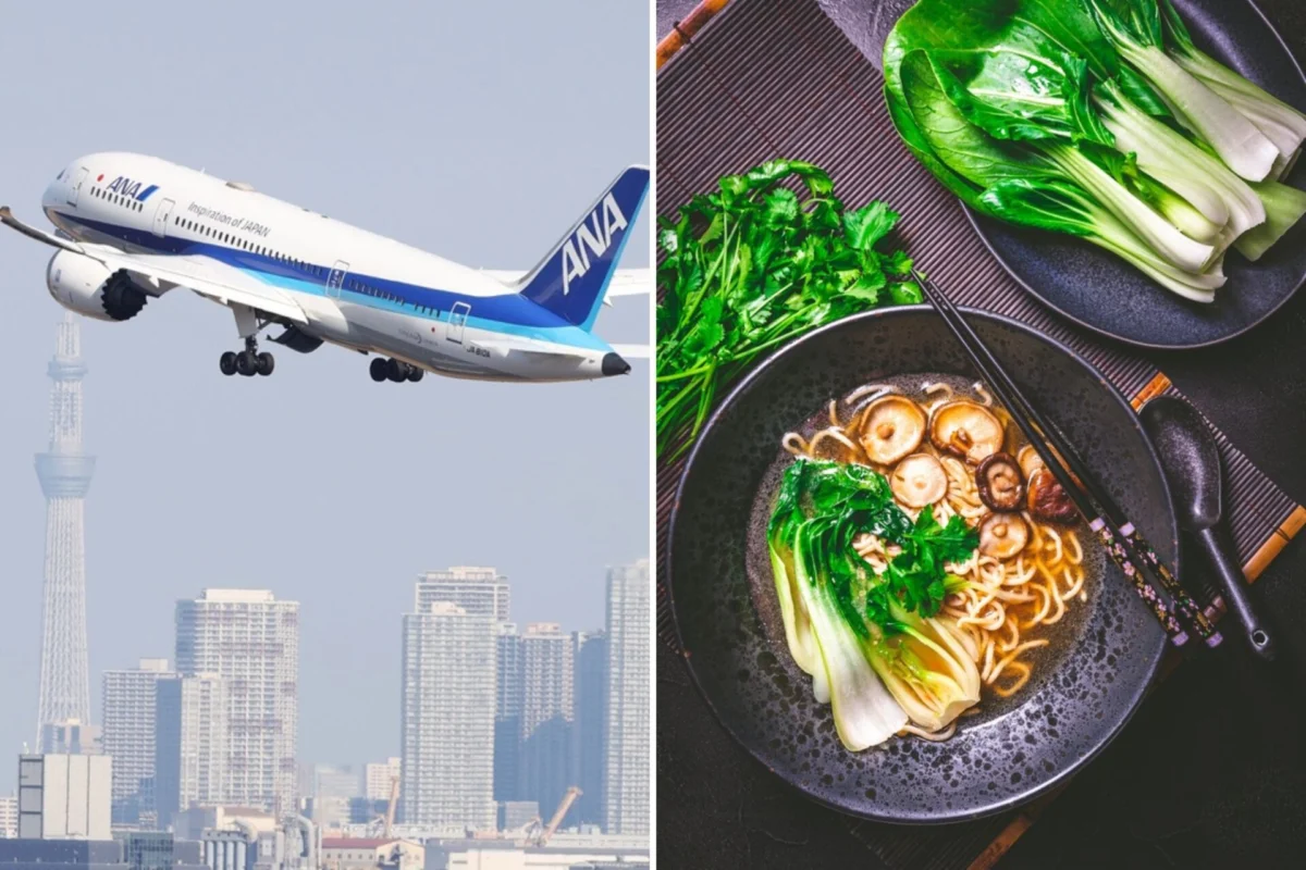 ANA Vegan Ramen ANA Vegan Ramen