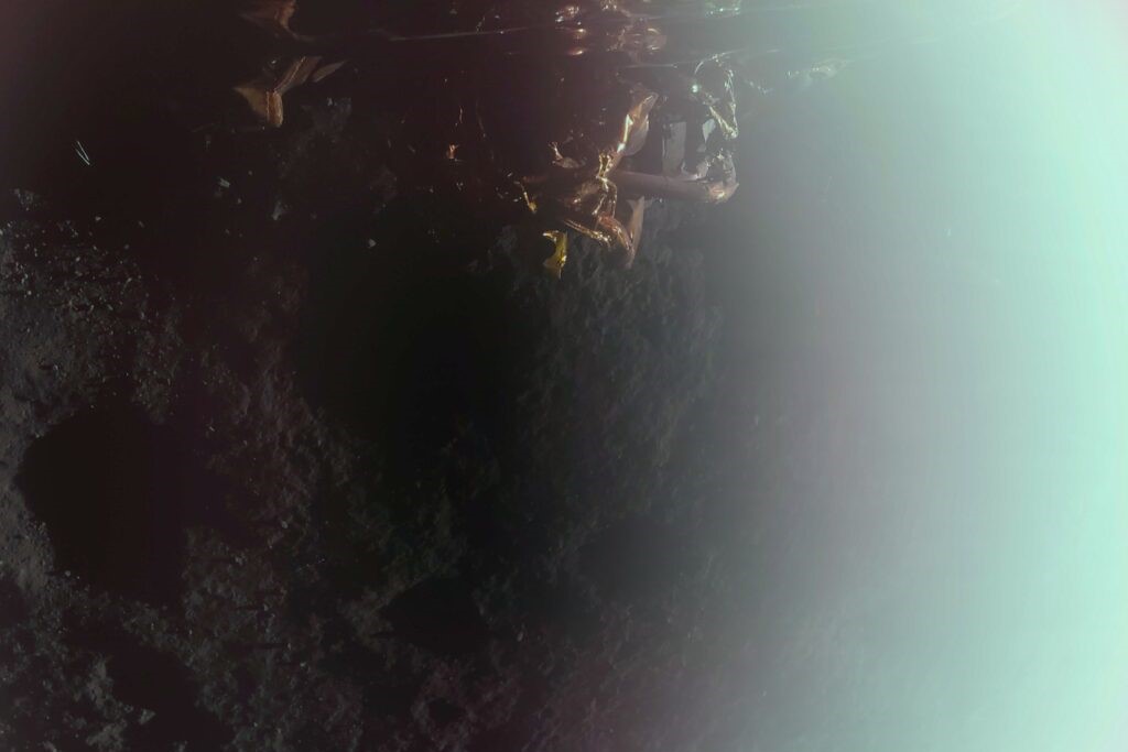 Blue Ghost first image