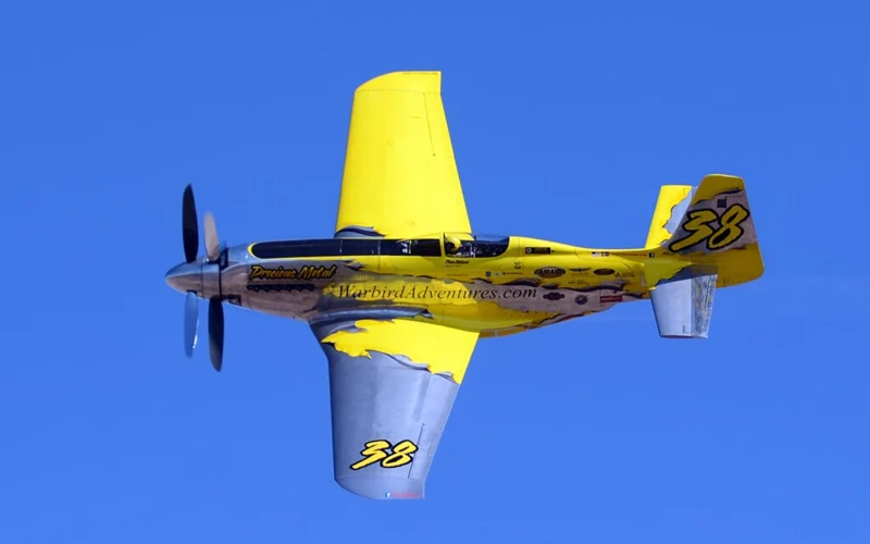 P51