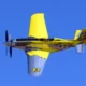 P51