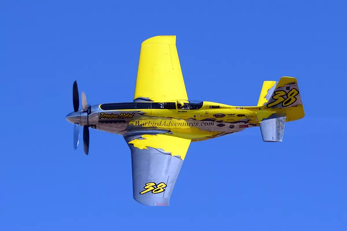 P51 P51