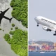 JAL to source SAF from wood