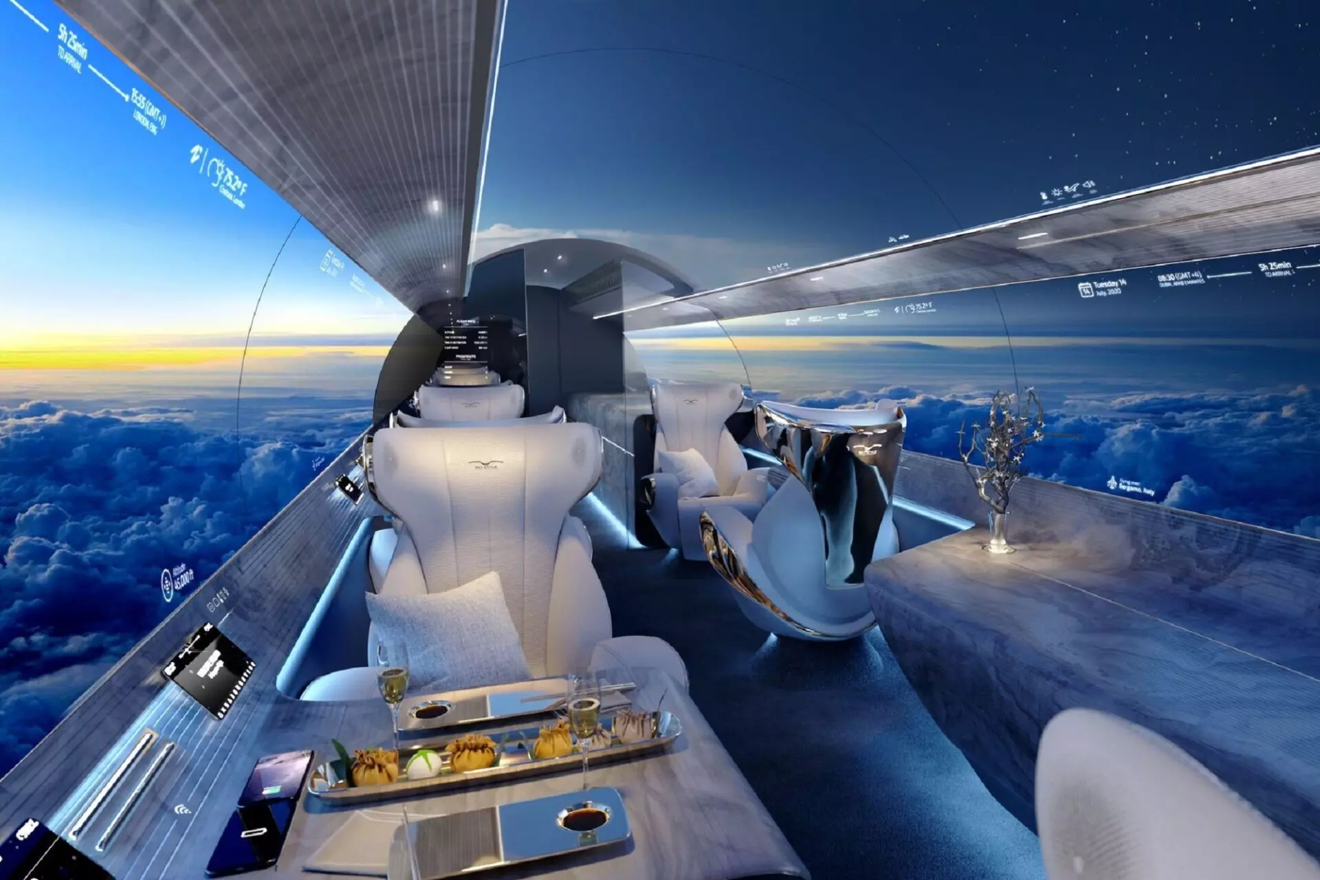 Rosen Aviation Full Length Digital Window