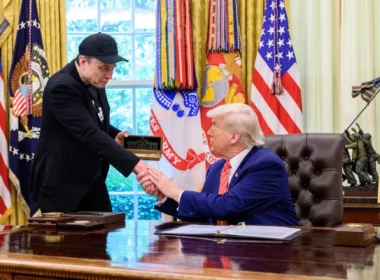 Donald Trump Elon Musk