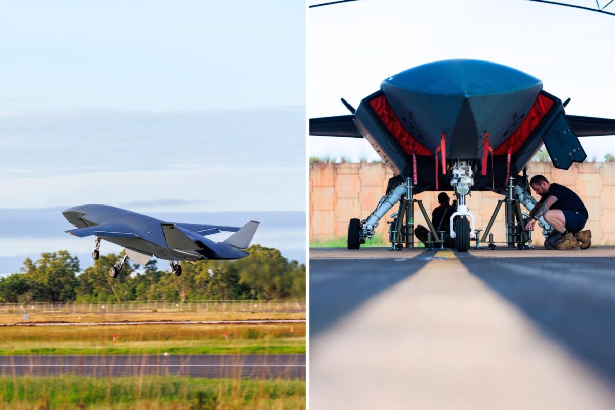 Ghost Bat flies outside training area Ghost Bat flies outside training area