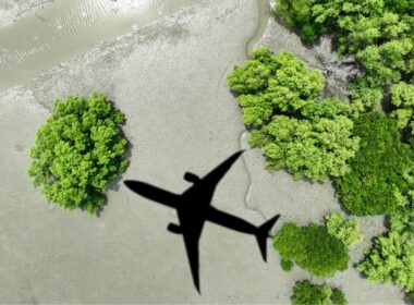 Aerial view of green trees and a water channel with the silhouette of a commercial airplane, symbolizing the intersection of aviation and environmental sustainability.