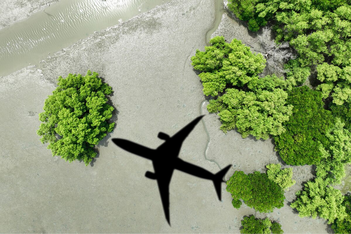 Aerial view of green trees and a water channel with the silhouette of a commercial airplane symbolizing the intersection of aviation and environmental sustainability