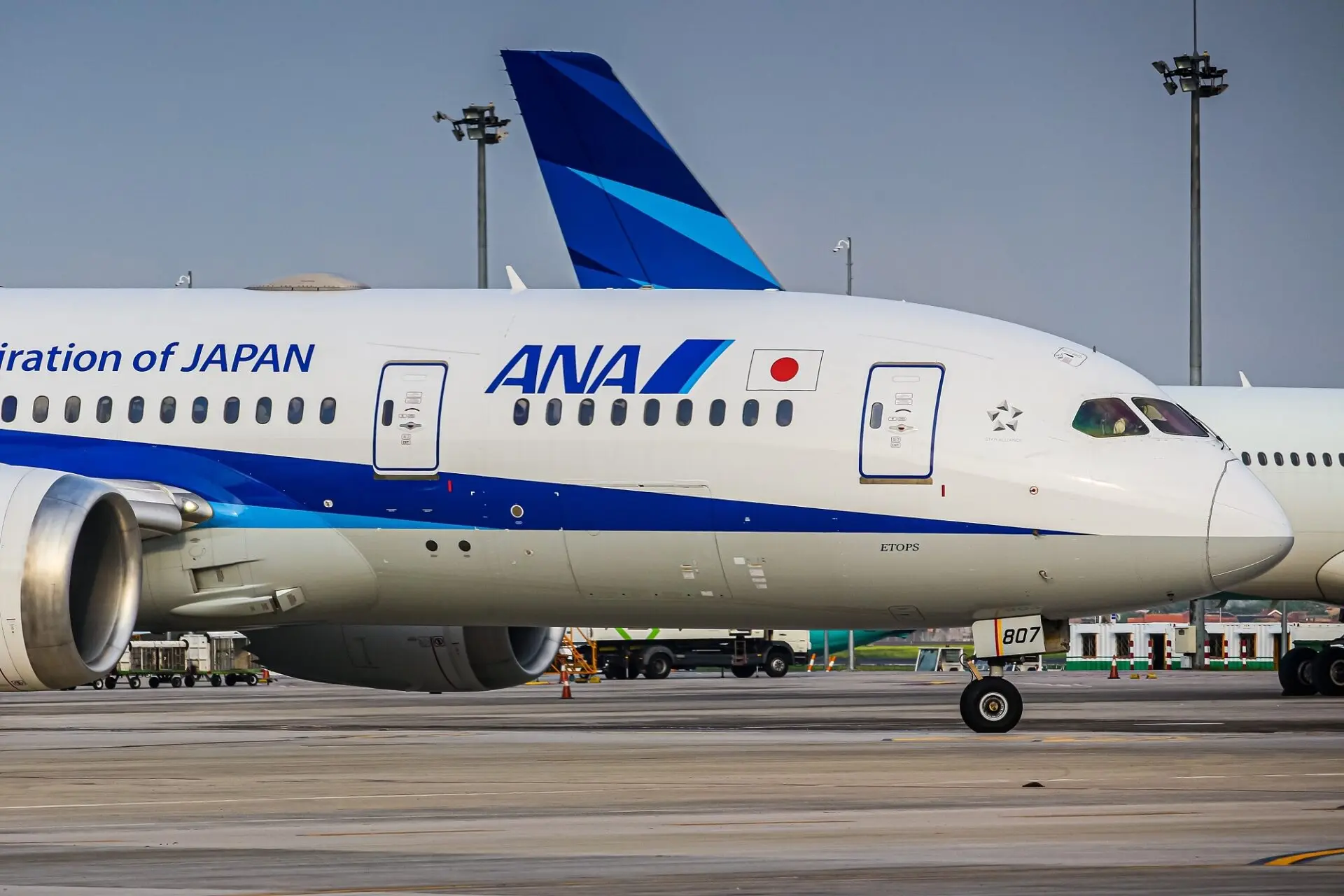 All Nippon Airways Boeing 787