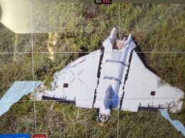 Gerbera drone Lithuanian Armed Forces