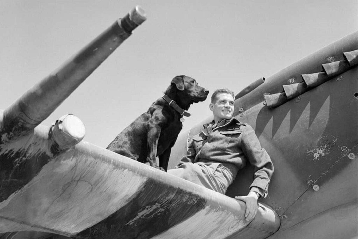 James Edgar Johnson RAF pilot