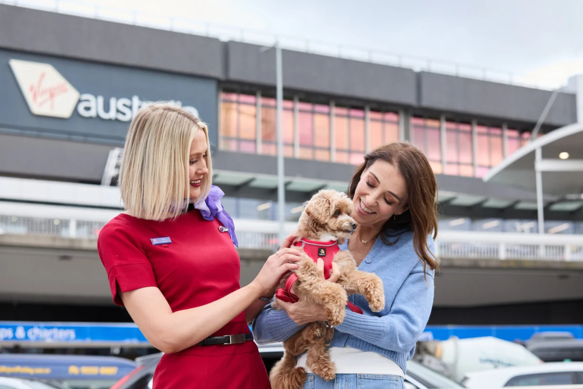 Virgin Australia pets in cabin