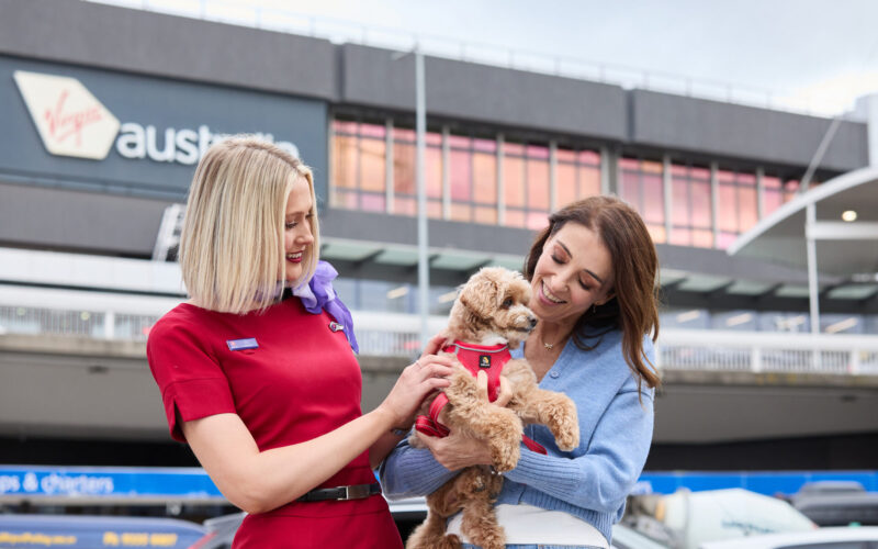 Virgin Australia pets in cabin