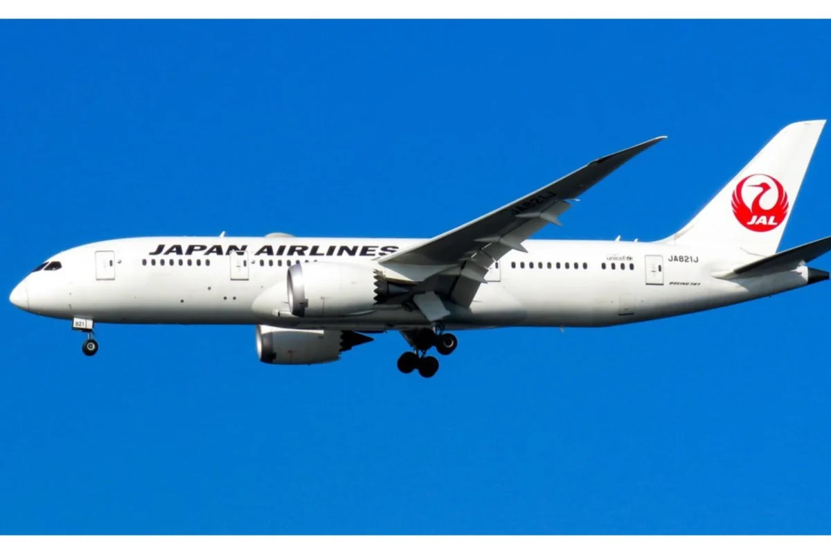 JAL 787 JAL 787