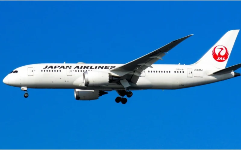 JAL 787