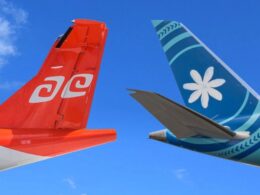 Untitled design (23)