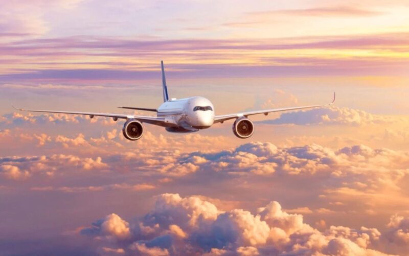 AAPA results 2025 AAPA results 2025