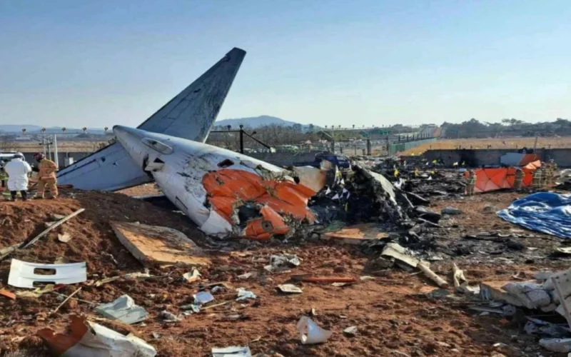 Jeju Air Crash