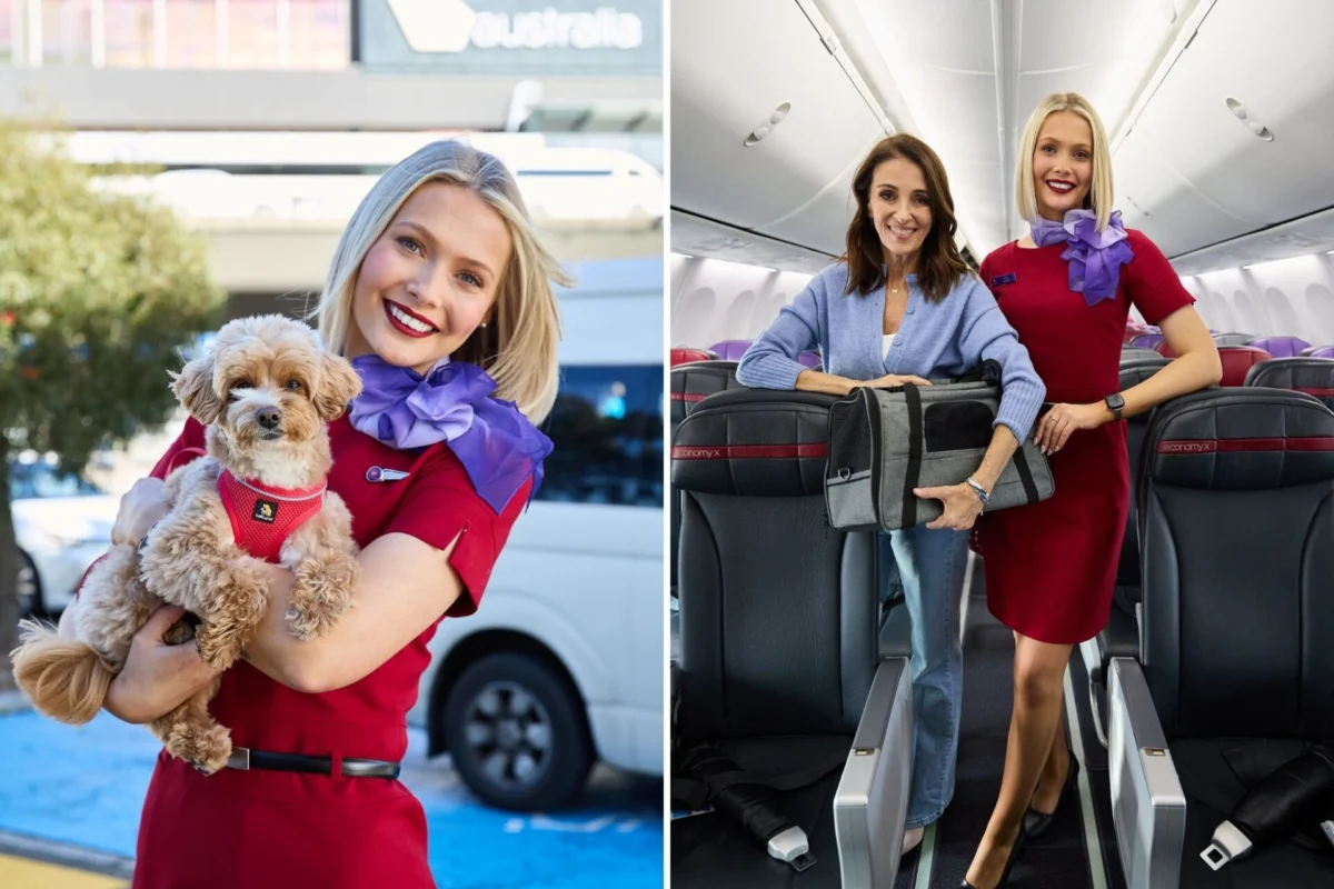 Virgin AU extends pets in cabin Virgin AU extends pets in cabin
