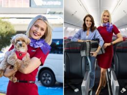 Virgin AU extends pets in cabin