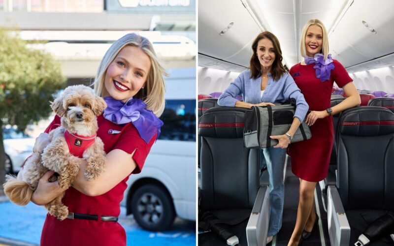 Virgin AU extends pets in cabin