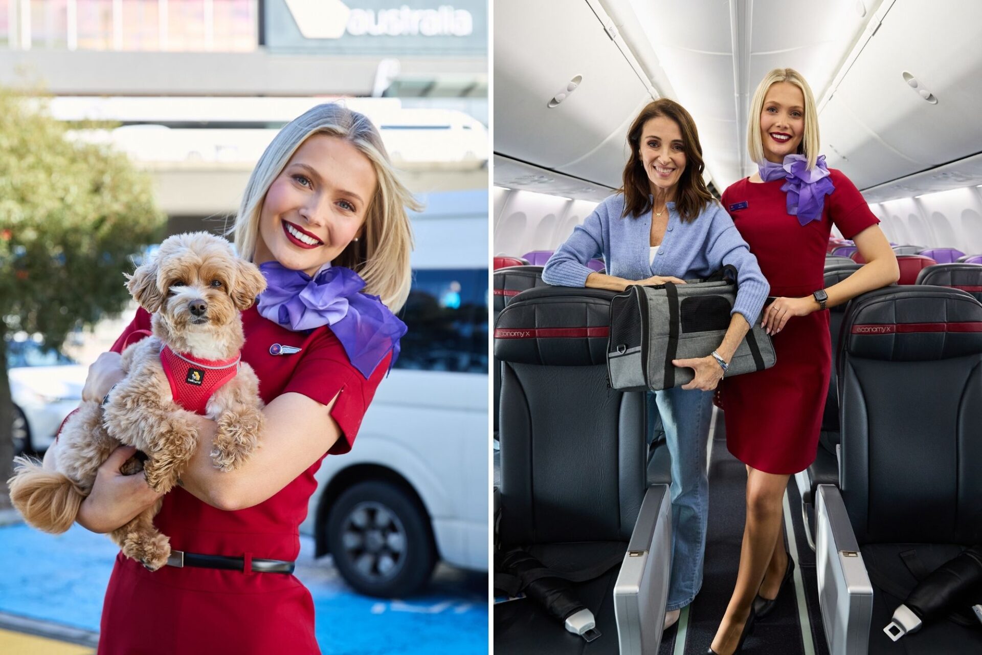 Virgin Australia extends Pets in Cabin trial to June 2026 after strong demand