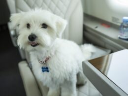 HansJet Pilatus PC 12