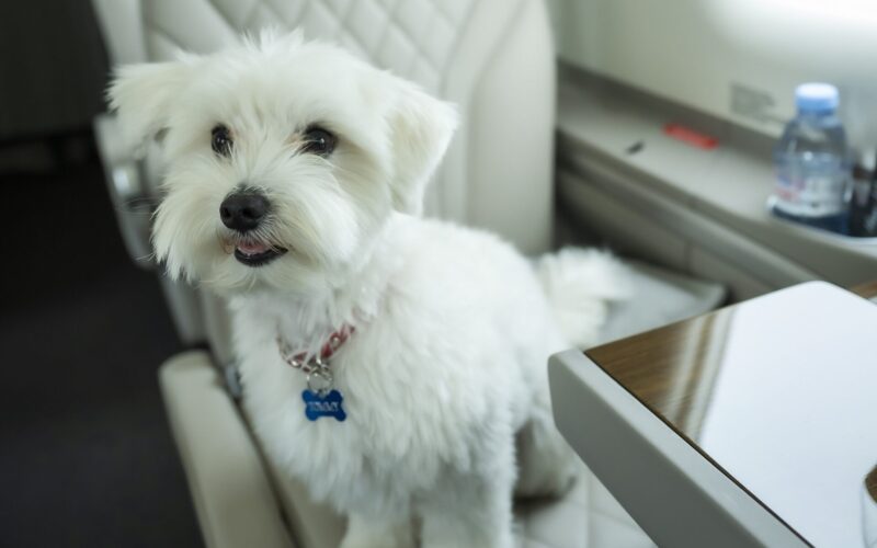 HansJet Pilatus PC 12