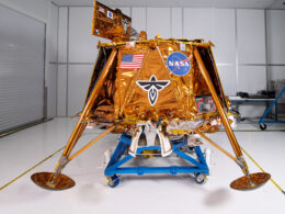 BGM1_GlamourShot_12_5-002-scaled