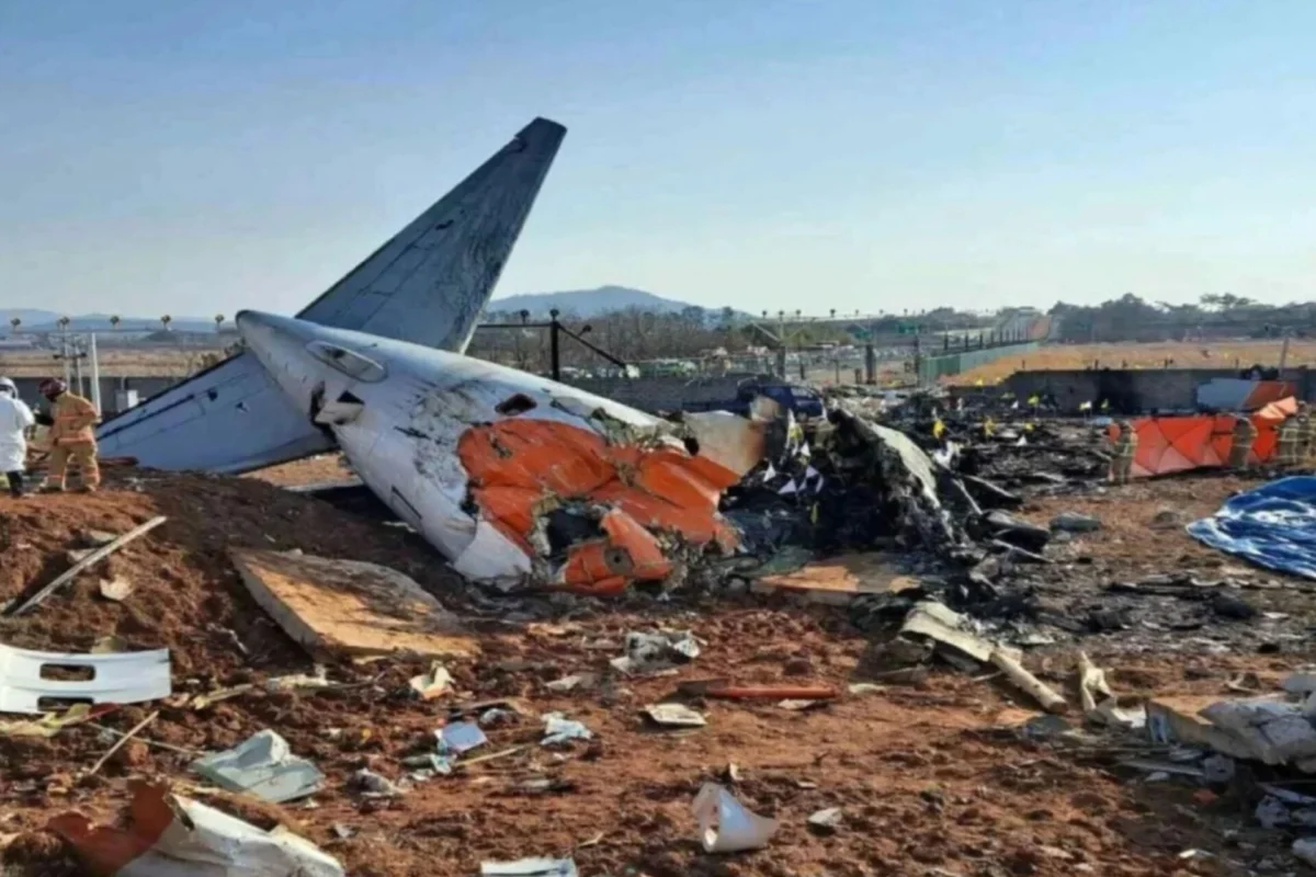 Jeju Crash 2024 Jeju Crash 2024