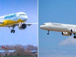 Untitled design (34)