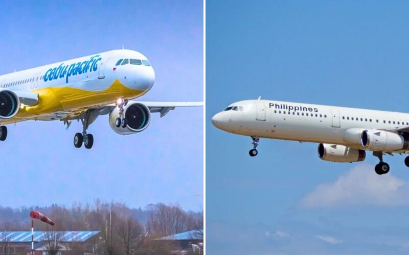 Untitled design (34)