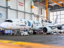 Untitled design (40)