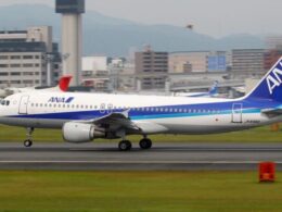 Untitled design (41)