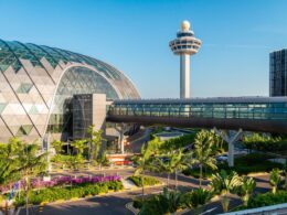 Untitled design (12)