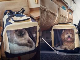 Untitled design (14)