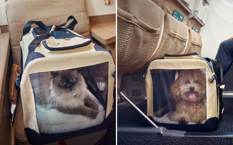 Untitled design (14)