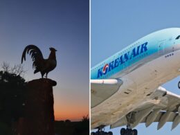 Untitled design (21)