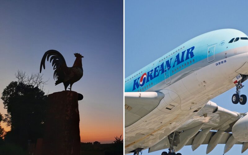 Untitled design (21)