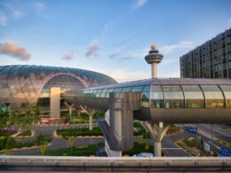 Untitled design (23)