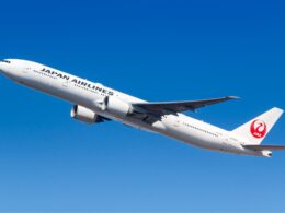 Untitled design (24)