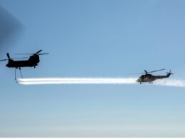 Untitled design (49)