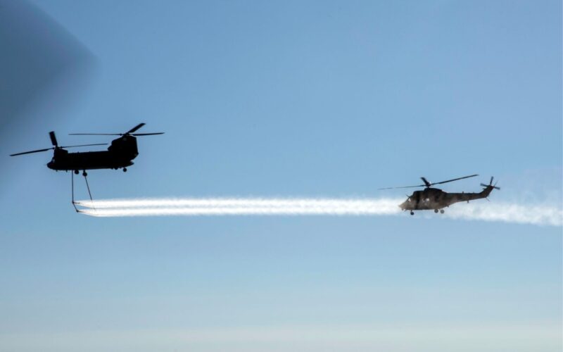 Untitled design (49)