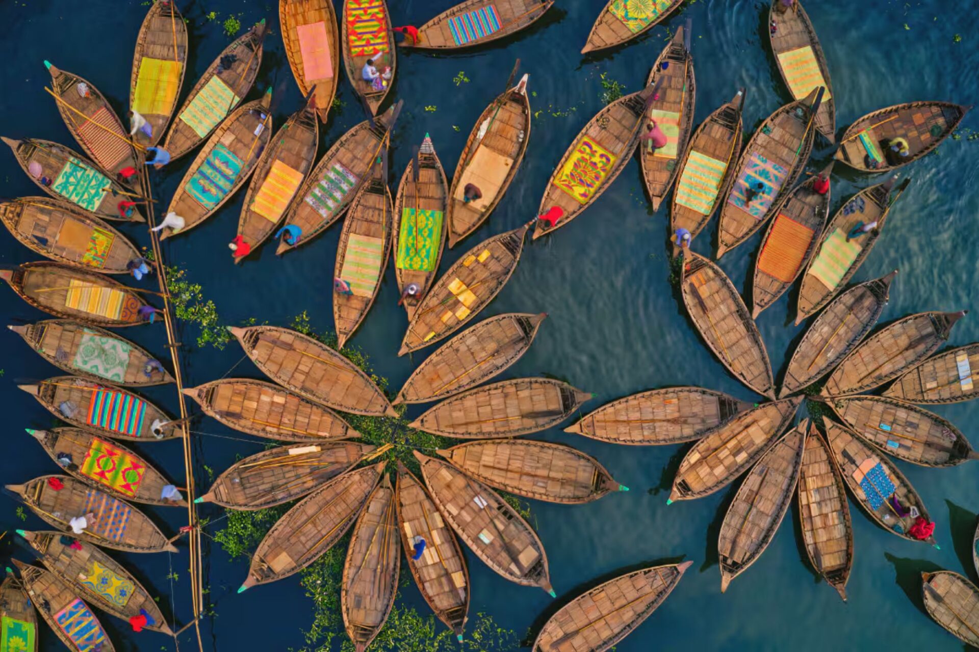 Etihad Airways launches seasonal Dhaka route, targeting trade and cargo demand