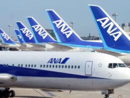 Untitled design (61)